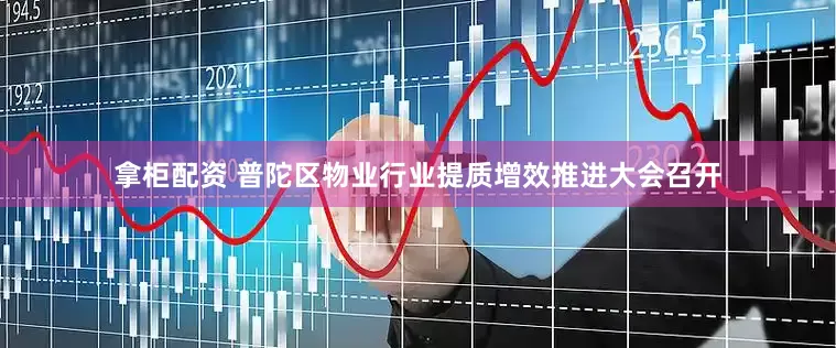 拿柜配资 普陀区物业行业提质增效推进大会召开