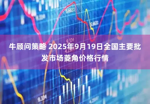 牛顾问策略 2025年9月19日全国主要批发市场菱角价格行情
