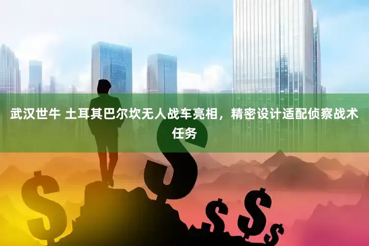 武汉世牛 土耳其巴尔坎无人战车亮相，精密设计适配侦察战术任务